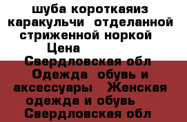 шуба короткаяиз каракульчи, отделанной стриженной норкой › Цена ­ 10 000 - Свердловская обл. Одежда, обувь и аксессуары » Женская одежда и обувь   . Свердловская обл.